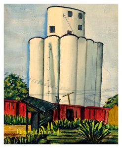 Pocahontas II CoProt 800