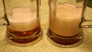 IMG_2055 WWW and wheat color carb 1600? L to R: Wild Willy's Wheat and Bear Spit. If you click to enlarge, and then enlarge even a second time, you can see the carbonation bubbles in the Wild Willy's Wheat. I realize the color isn't exactly the best in this photo, but you can get the idea that Bear Spit is much darker than Wild Willy's Wheat.