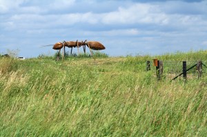 This is the ant ("Ant #3 in the caption below) Katie and I first saw from Highway 86.  Notice its size in comparison to the car in the background at the far left.  Click photo to enlarge.
