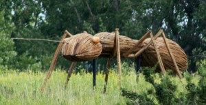 IMG_3387 grhopper #2 first angle levels crop 602 Bill noticed this ant, at the left, when I returned with him to the exhibit. Of the three ants, this ant, which I have named "Ant #2," is furthest from Highway 86 and is th emiddle ant in the above photo. I took this photo from HIghway 86, facing mostly east.
