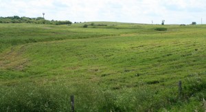 IMG_3402 levels all 3 1400 One ant at far left, one in middle. The third one, at the far right relatively close to Highway 86 is the one Katie and I first saw. (Click photo to enlarge.)