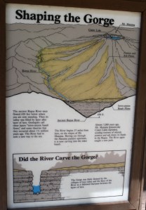 IMG_2315 lev cro 1400